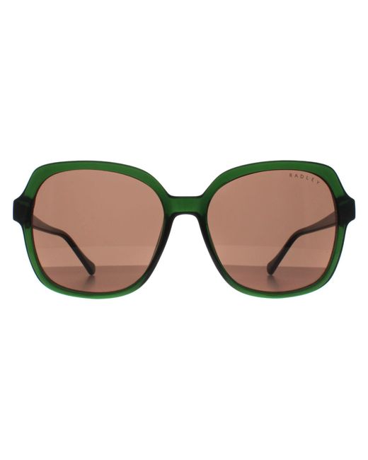 Radley Brown Square Transparent Dark Phoenix 6505