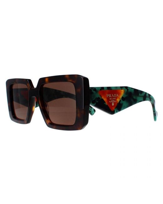 Prada Brown Square Tortoise Dark Pr23Ys
