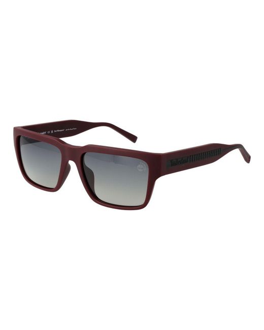 Timberland Black Burgundy Plastic Sunglasses for men