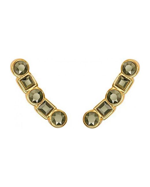 Adore Metallic 5375490 Ladies Earrings