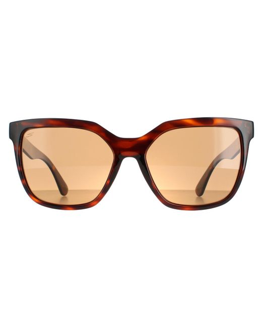 Serengeti Brown Square Shiny Tortoise Saturn Polarized Drivers Wakota