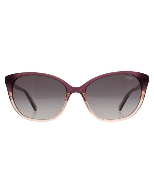 Banana Republic Brown Cat Eye Shaded Gradient Polarized Br 2001/S