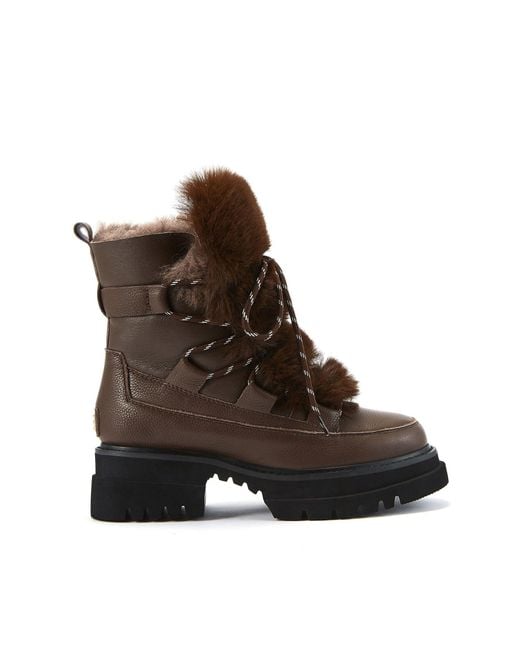 Australia Luxe Brown Westward Burnt