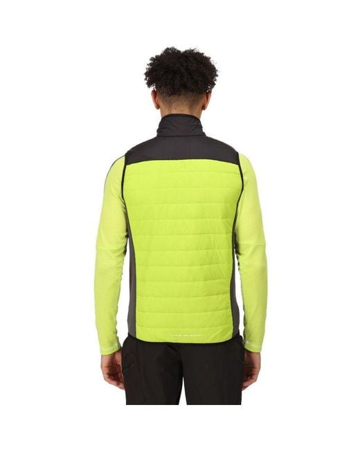Regatta Green Halton Vi Lightweight Body Warmer Gilet for men