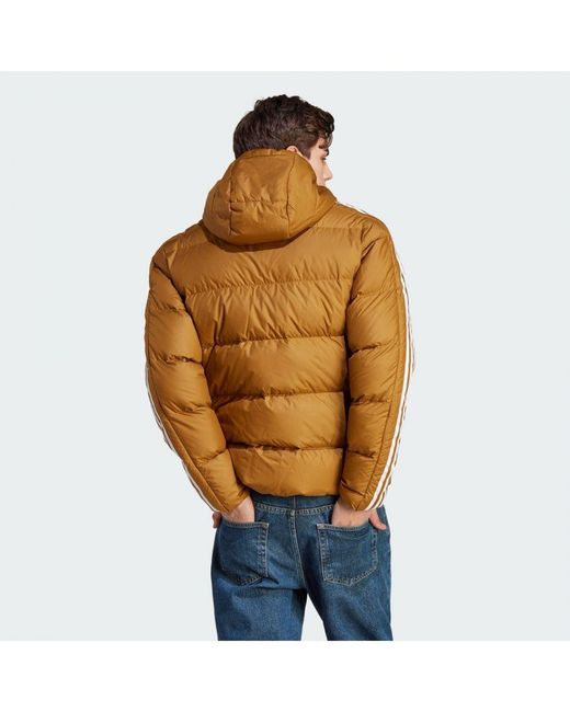 Adidas Orange Essentials Midweight Down Hooded Jacket for men