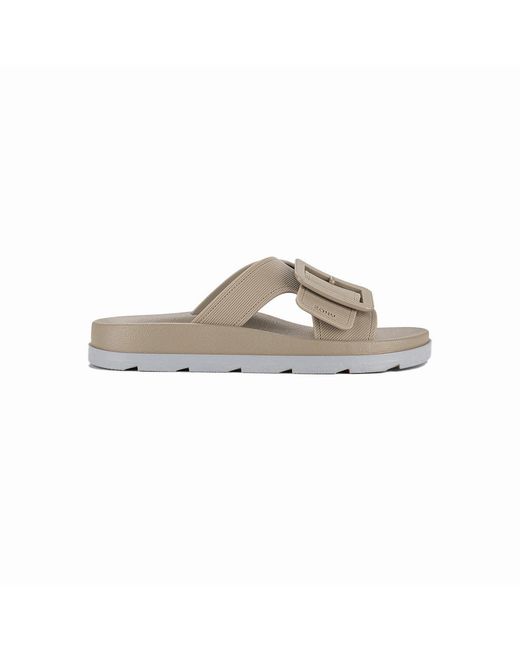 Zaxy Gray Vibe Slide Ad