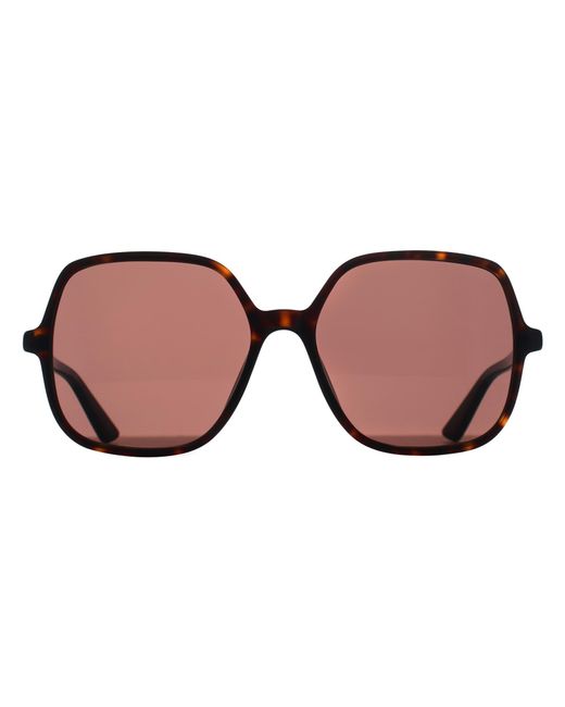 Chloé Brown Chloé Square Dark Havana Ch0362S