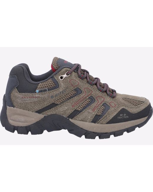 Hi-tec Gray Torca Low Waterproof Boots