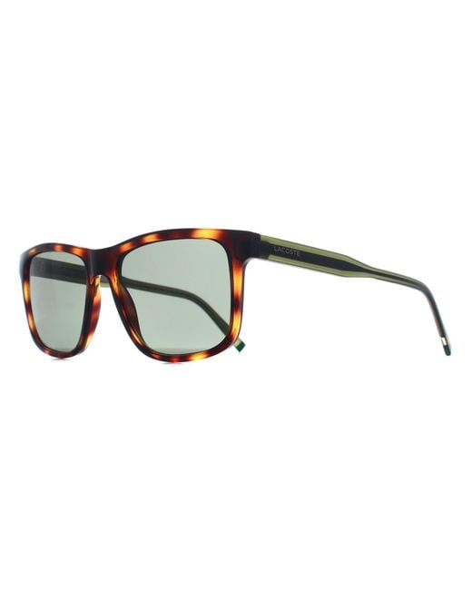 Lacoste Brown Square Tortoise L6025S for men