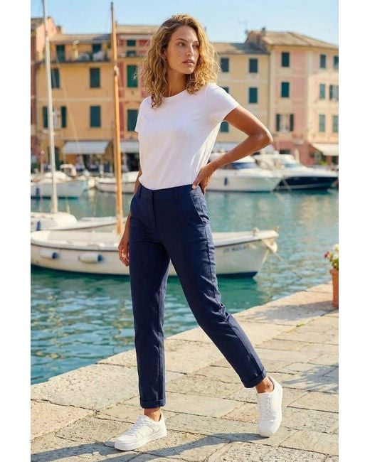 Roman Blue Plain Cotton Chino Trousers