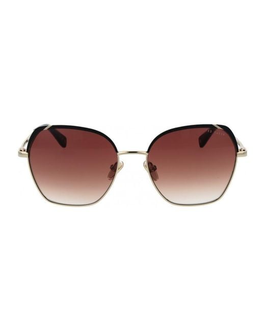 Ted Baker Brown Tb1786 56002 56 002 Sunglasses
