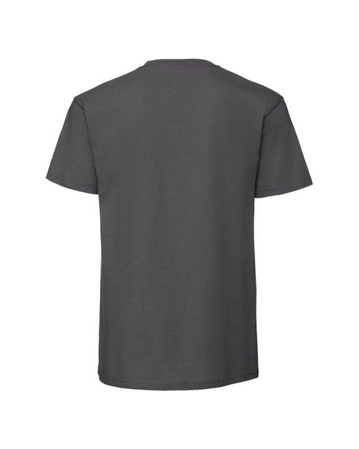 Fruit Of The Loom Gray Iconic Premium Ringspun Cotton T-Shirt (Light Graphite) for men