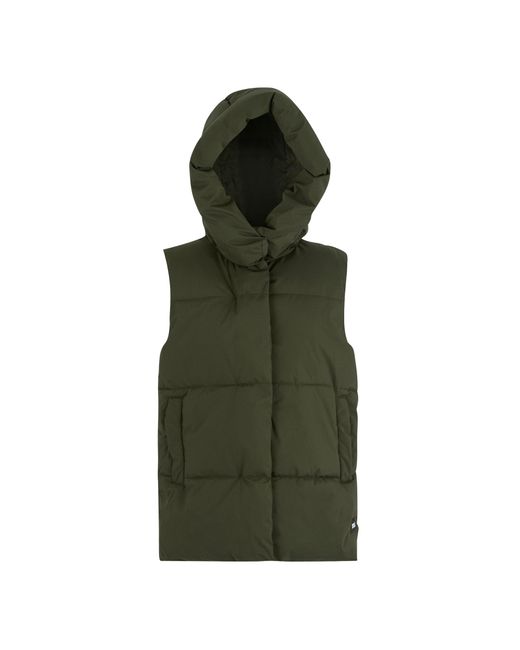 Regatta Green Ladies Kelse Body Warmer (Dark)