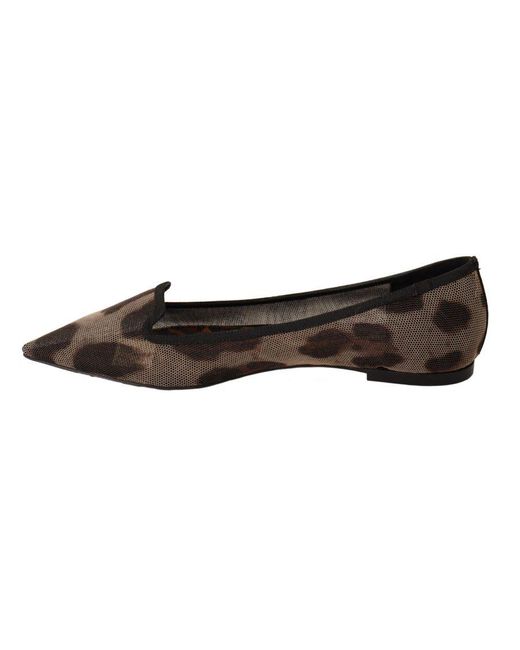 Dolce & Gabbana Brown Leopard Ballerina Flat Loafers Shoes