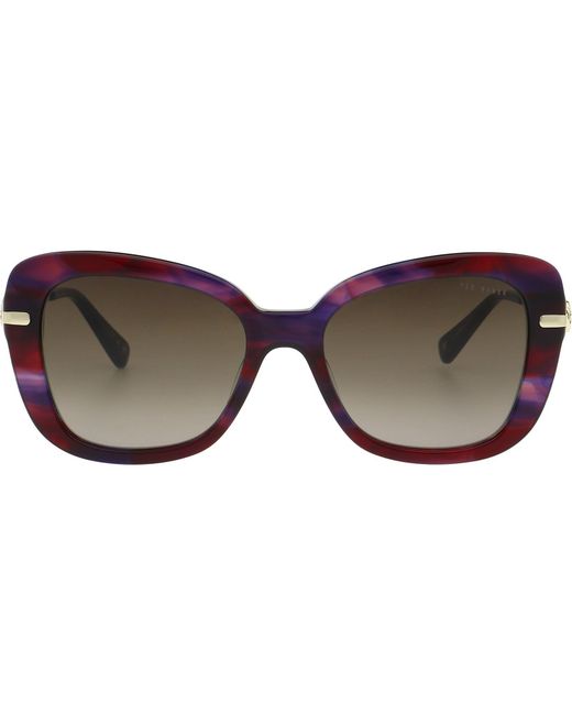 Ted Baker Brown Gabriella Sunglasses for men
