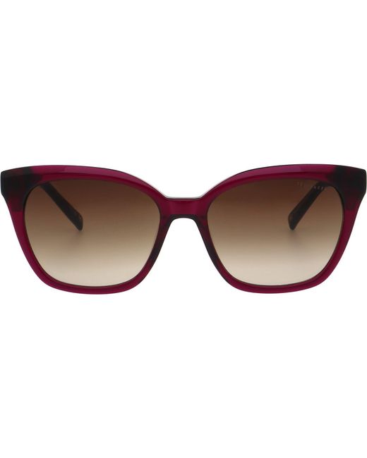 Ted Baker Brown Lina Sunglasses for men