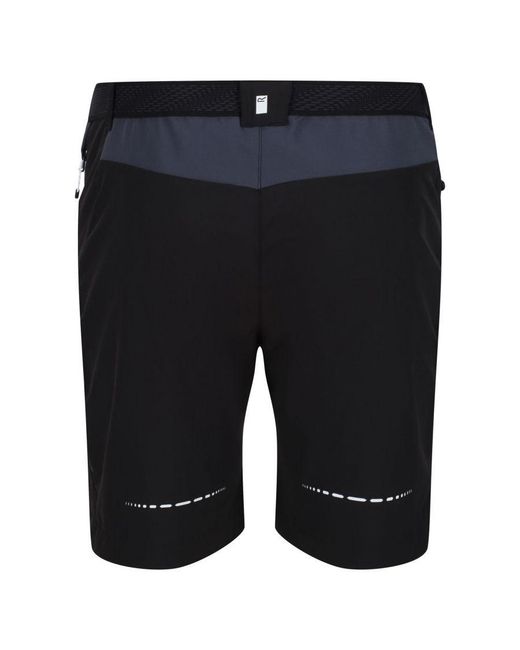 Regatta Black Mountain Ii Shorts /India) for men