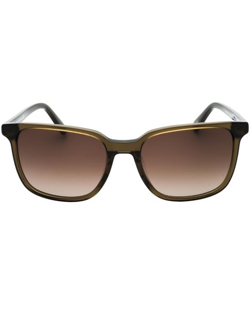 Banana Republic Brown Sf Lensed Sunglasses