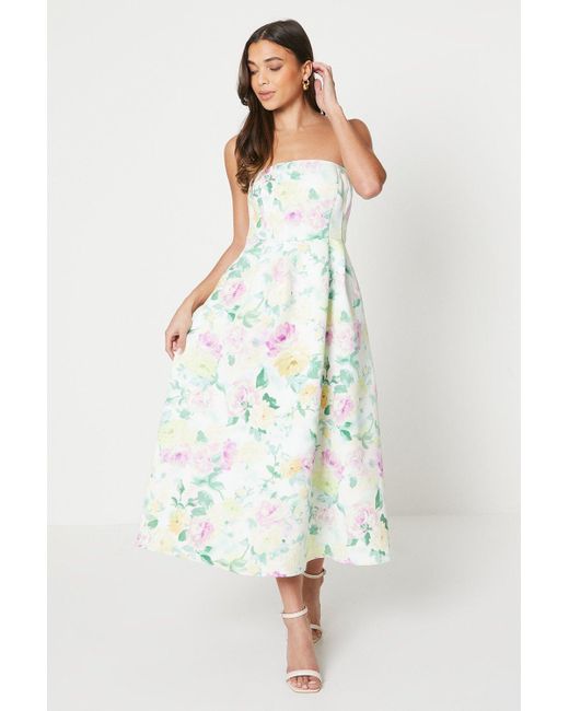 Oasis White Petite Floral Bandeau Ottoman Midi Dress