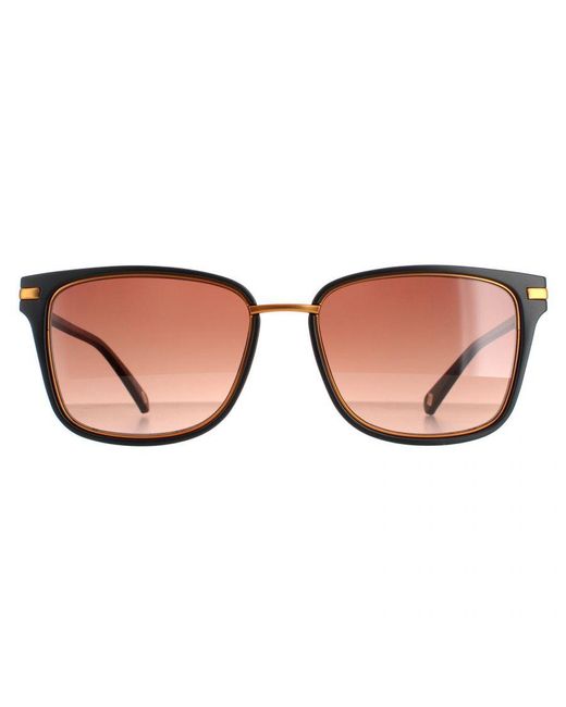 Ted Baker Brown Square Gradient Tb1620 Mata