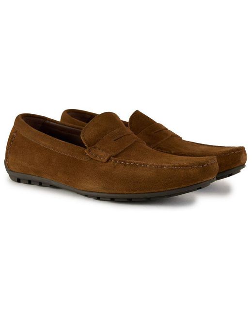 Loake Brown Eastman Shoes for men