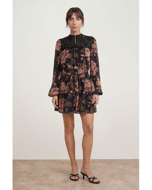 Oasis Natural Petite Lace Front Belted Waist Long Sleeve Mini Dress