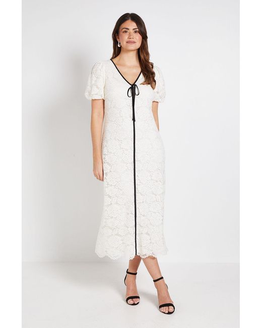 Wallis Natural Lace Contrast Column Dress
