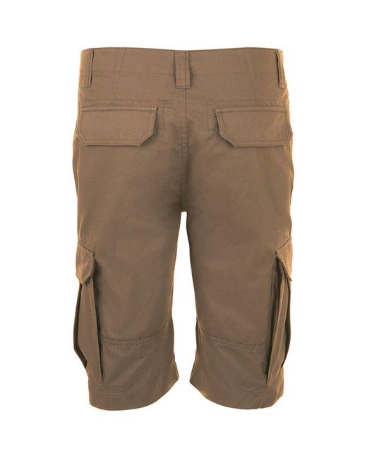 Sol's Brown Jackson Bermuda Shorts Cotton for men