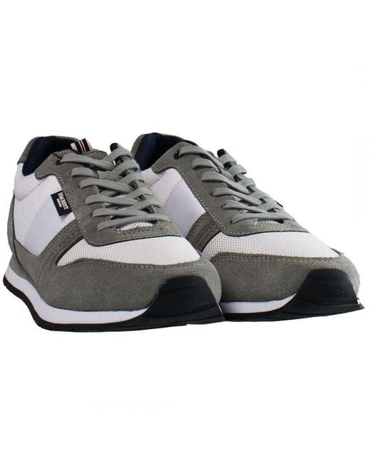 Hackett Gray Eyelet Trainers for men