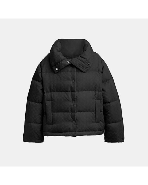 COACH Black Signature Jacquard Short Puffer