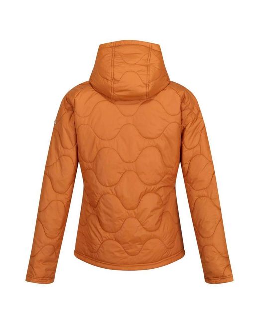 Regatta Orange Ladies Ellerie Lightweight Padded Jacket (Copper Almond)