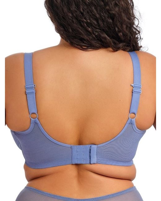 Elomi Blue Matilda Plunge Side Support Bra