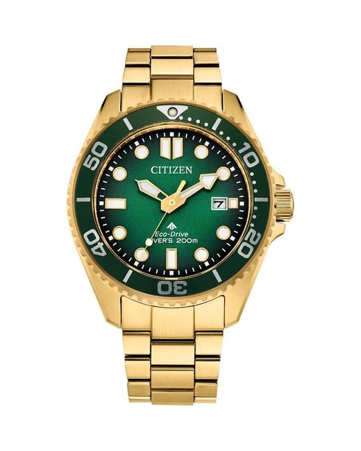 Citizen Metallic Promaster Dive Watch Bn0262-59W Stainless Steel for men