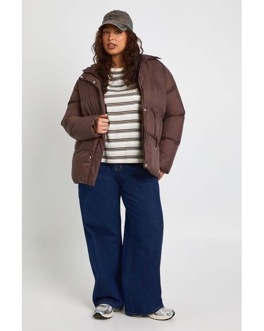 Boohoo Brown Plus Hooded Puffer Coat