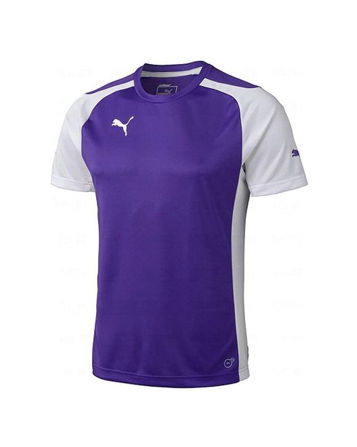 PUMA Purple Short Sleeve Round Neck T-Shirt 701906 10 for men