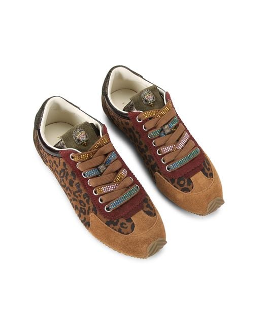 Kurt Geiger Brown Suede Islington Sneaker Sneakers