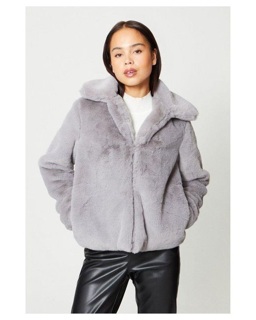 Oasis Gray Petite Plush Faux Fur Short Collared Coat