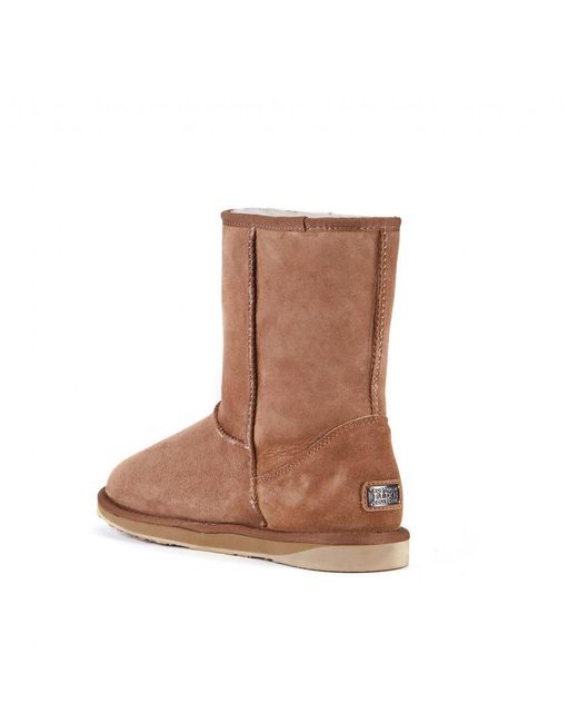 Australia Luxe Brown Cosy Short Chestnut for men