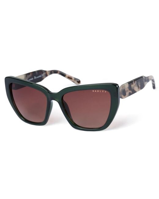 Radley Brown Cat Eye Gradient Rds-6501