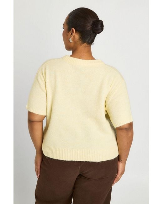 Boohoo Natural Plus Short Sleeve Knitted Top