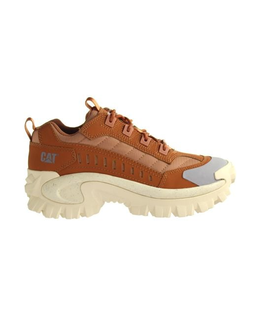 Caterpillar Brown Intruder Trainers for men
