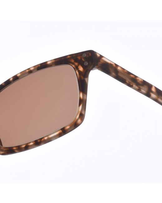 Zen Brown Z405 Rectangular Shape Acetate Sunglasses