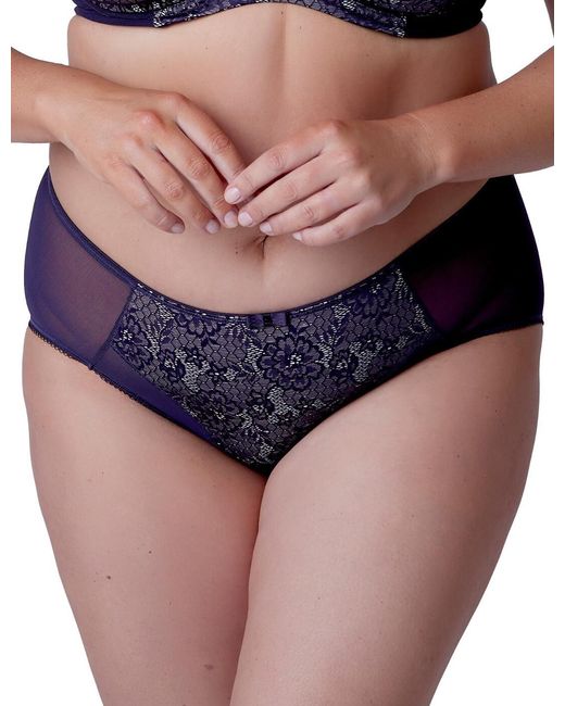 Berlei Blue B523 Beauty Everyday Deep Brief