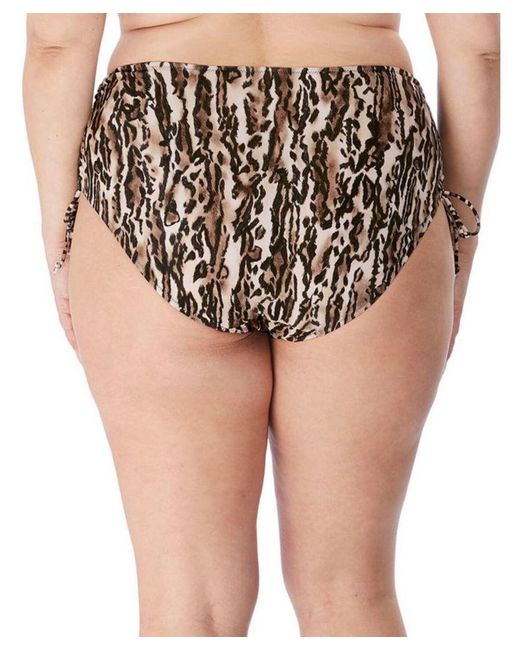 Elomi Natural Fierce Bikini Brief