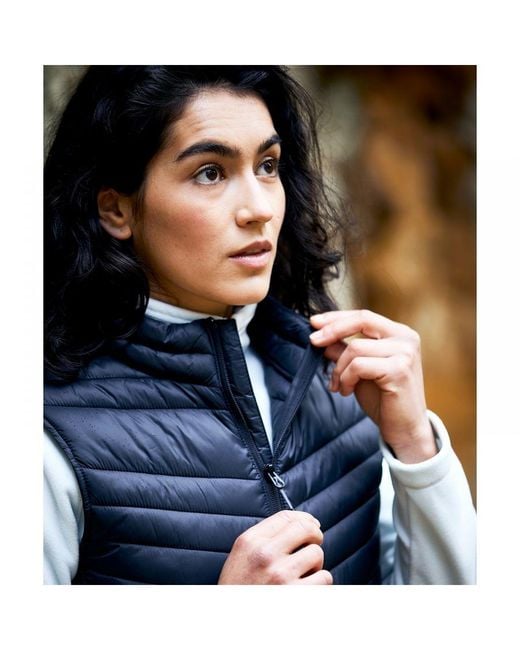 Craghoppers Blue Adult Expert Expolite Thermal Gilet (Dark)