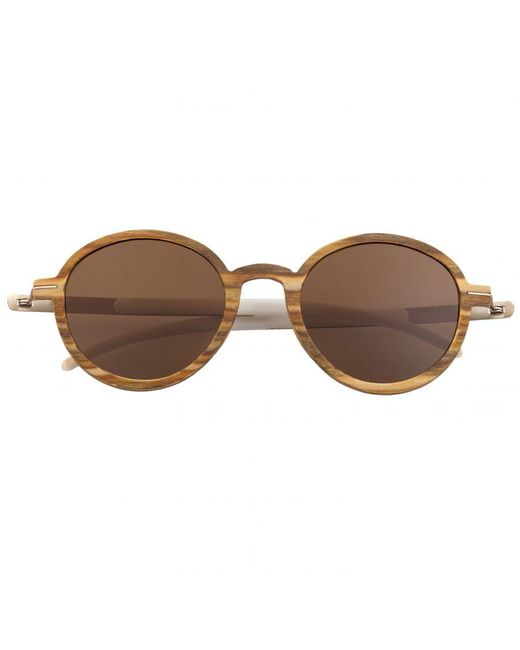 Earth Wood Brown Toco Polarized Sunglasses