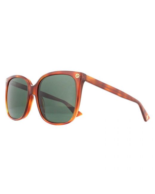 Gucci Green Sunglasses Gg0022S 002 Havana