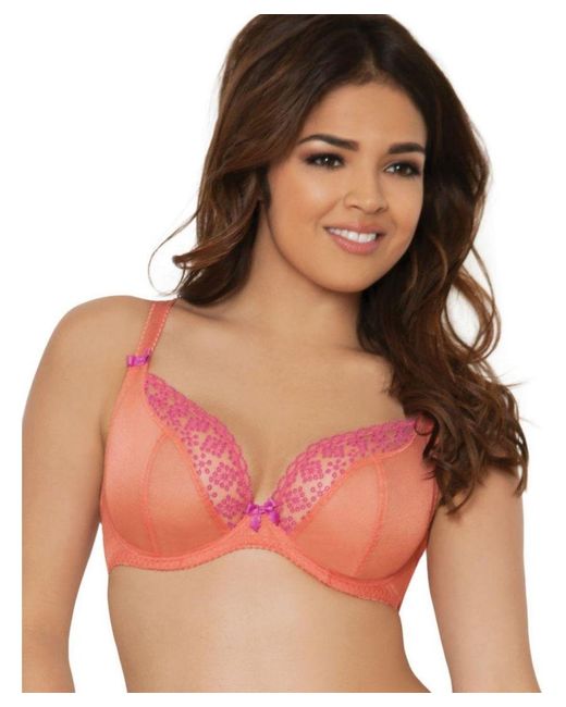 Curvy Kate Pink Atomic Plunge Bra