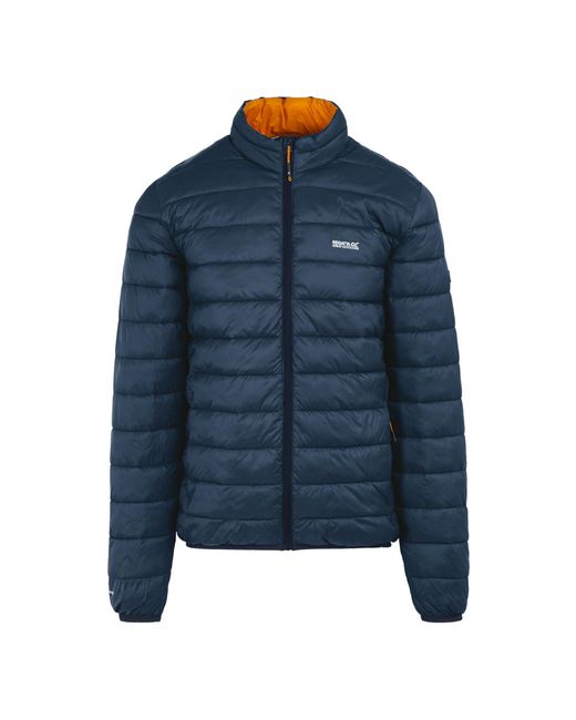 Regatta Blue Marizion Padded Jacket (Moonlight Denim/Fox)