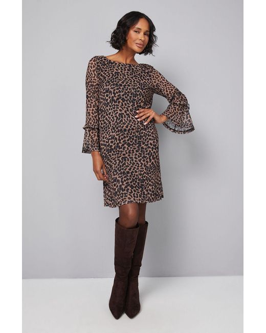 Wallis Black Leopard Mesh Ruffle Sleeve Shift Dress